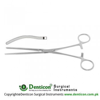 Kocher Intestinal Clamp Curved Stainless Steel, 24.5 cm - 9 3/4"